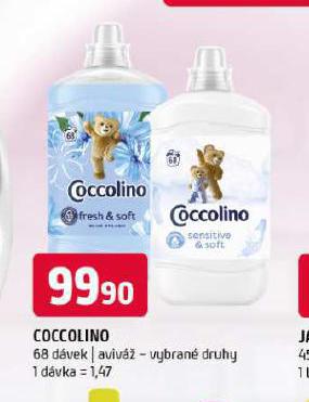 COCCOLINO AVIV