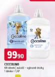 COCCOLINO AVIV