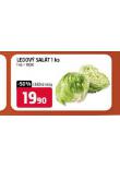 LEDOV SALT