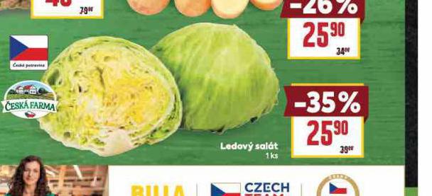 LEDOV SALT