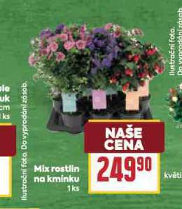 MIX ROSTLIN NA KMNKU