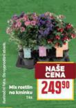 MIX ROSTLIN NA KMNKU