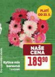 KYTICE MIX BAREVN