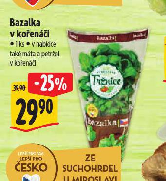 BAZALKA V KOENI