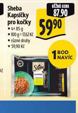 SHEBA KAPSIKY PRO KOKY