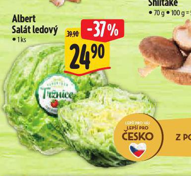 SALT LEDOV