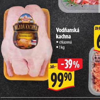 VODANSK KACHNA