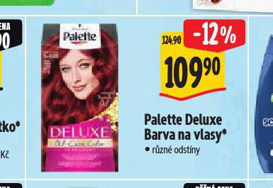 PALTETTE DELUXE BARVA NA VLASY