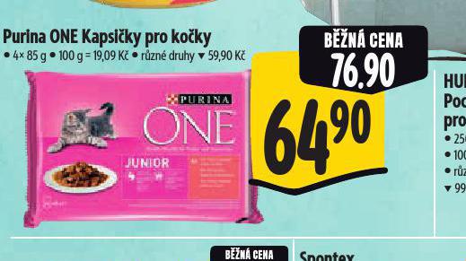 PURINA ONE KAPSIKY PRO KOKY