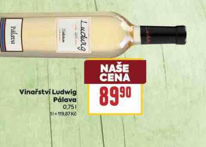 VINASTV LUDWIG PLAVA