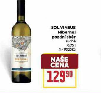 SOL VINEUS HIBERNAL