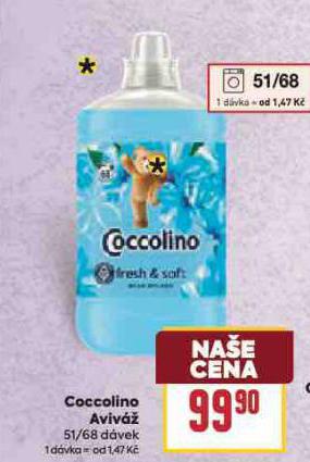COCCOLINO AVIV