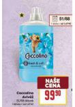 COCCOLINO AVIV