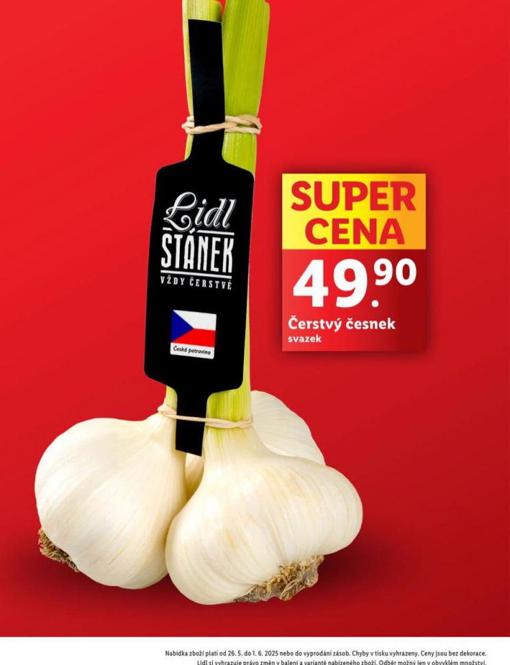 ERSTV ESNEK