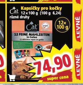 CAT KAPSIKY PRO KOKY