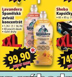 LAVANDERA PANLSK AVIV