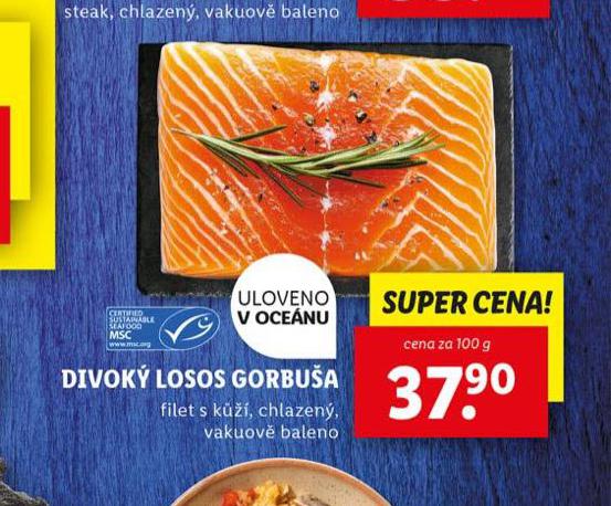 DIVOK LOSOS GORBUA