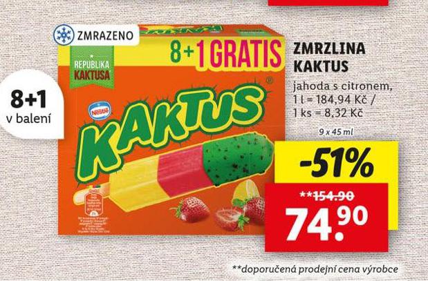 ZMRZLINA KAKTUS
