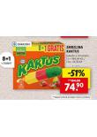 ZMRZLINA KAKTUS