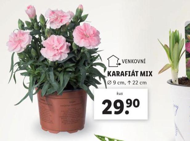 KARAFIT MIX