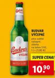 BUDVAR VEPN