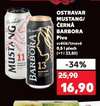 PIVO OSTRAVAR ERN BARBORA 13