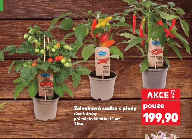 ZELENINOV SADBA S PLODY