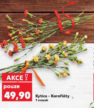 KYTICE- KARAFITY
