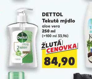 DETTOL TEKUT MDLO