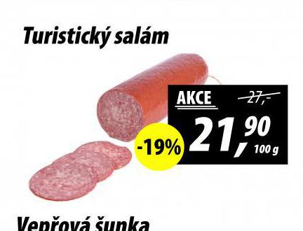 TURISTICK SALM