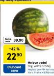 MELOUN VODN