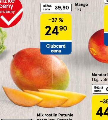 MANGO