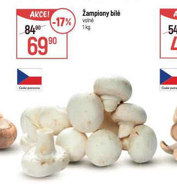 AMPIONY BL