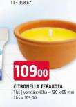 CITRONELA TERAKOTA