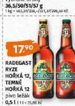 PIVO RADEGAST RYZE HOK 12
