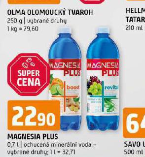MAGNESIA PLUS