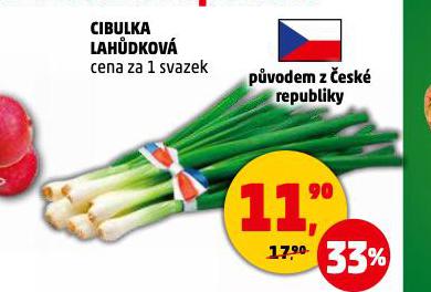 CIBULOV LAHDKA