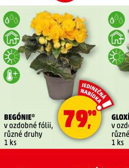 BEGNIE