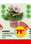 GLOXNIE