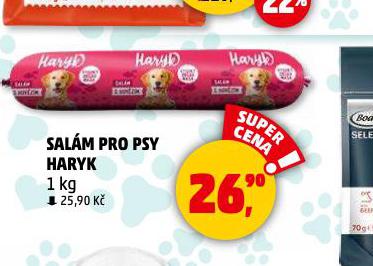 HARYK SALM PRO PSY
