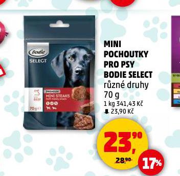 BODIE SELECT MINI POCHOUTKY PRO PSY