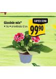GLOXINIE MIX