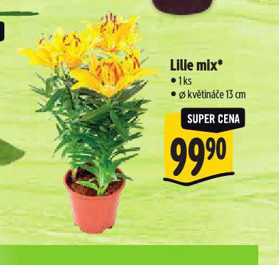 LILLIE MIX