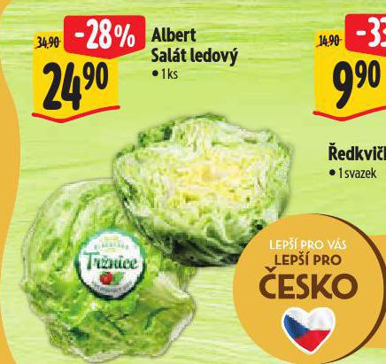 SALT LEDOV