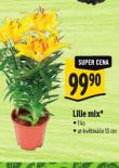 LILLIE MIX
