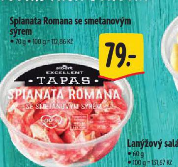 SPLANATA ROMANA SE SMETANOVM SREM