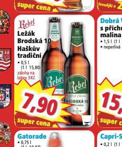 PIVO REBEL LEK BRODSK 10