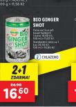 GIO GINGER SHOT