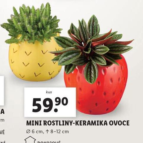 MINI ROSTLINY KERAMIKA OVOCE