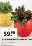 MINI ROSTLINY KERAMIKA OVOCE